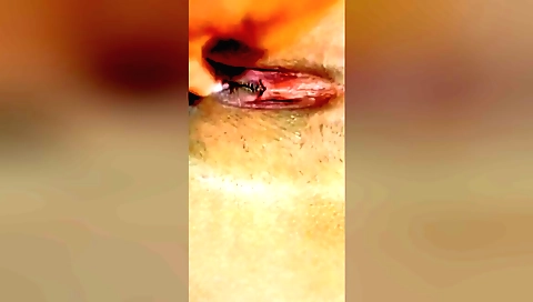 Solo girl with a vibrator in her pussy in an amateur video