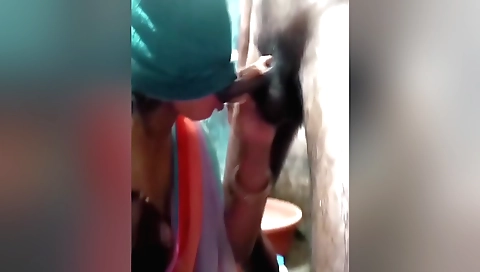 Indian porn video shows a hot stepsister-in-law sex