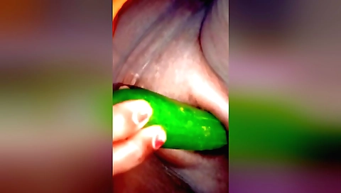 Cucumber dildo is used to fuck a girl in a homemade video